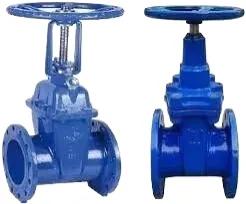 Marine ANSI Class 125 Cast Iron Globe Valve