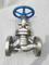 Marine DIN Stainless Steel Flanged Wcb CE Globe Valve