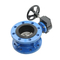 Wholesale Price Custom DN 300mm Valve Lug Type Aluminum Bronze Plate Butterfly Valve for Sale