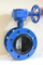 Marine Butterfly Valve Soft-Sealed Awwa C504 Double Flange