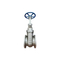 Wholesale High Quality Stainless Steel Gate Globe Check Valve