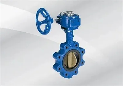 OEM ODM Wholesale Cast Iron Marine Wafer Type Butterfly Valve Centre Sealing