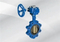 OEM ODM Wholesale Cast Iron Marine Wafer Type Butterfly Valve Centre Sealing