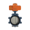 Factory Price Cast-Iron Stainless-Steel Rubber Seat Water Lug Type Double Flange Butterfly Valve