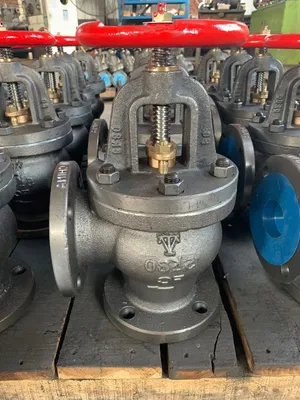 Wholesale Flanged Angle Check Valve JIS F7354 Cast Iron Marine Valve 5K High Quality
