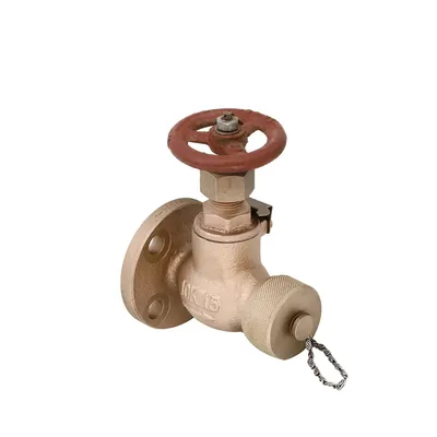 Wholesale Marine Check Gate Swing Lift JIS F7333/7334 Flanged Casting Bronze Cast Iron 5K 10K Hose Globe Angle Valves