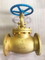 Hot Selling Customized Wholesale Marine Bronze Flanged Globe Valve with API Standard