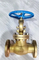 Bronze Flanged Globe Valve with API Standard