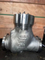 Marine API 900lb High Pressure Stainless Cast Steel Swing Flanged Globe Check Valve for Sale