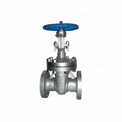 OEM Stainless Steel Flanged Globe Valve