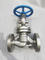 Marine Flanged Manual Stainless Steel Cast Steel Globe Valve From CE Manufacturer