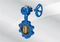 Wholesale Cast Iron Marine Wafer Type Butterfly Valve Centre Sealing