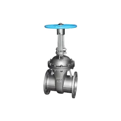 Stainless Steel Gate Globe Check Valve
