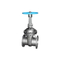 Stainless Steel Gate Globe Check Valve