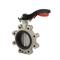 Marine Cast-Iron Stainless-Steel Seat Water Lug Type Double Flange Butterfly Valve for Sale