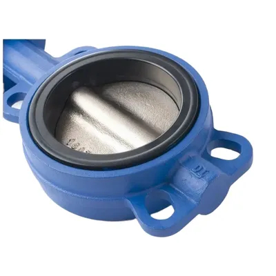 OEM Manufacture Marine Cast Iron Wafer Lug Butterfly Valves