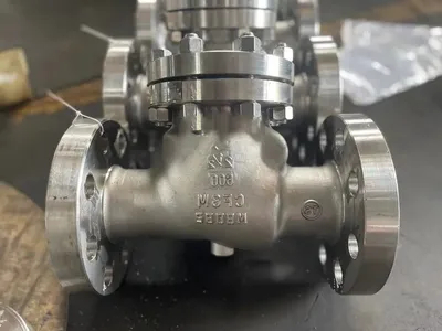 Marine API 900lb High Pressure Stainless Steel Swing Flanged Globe Check Valve for Sale