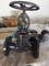 Manual Operated Cast Steel Wcb Flanged Steel Globe Valve for Sale