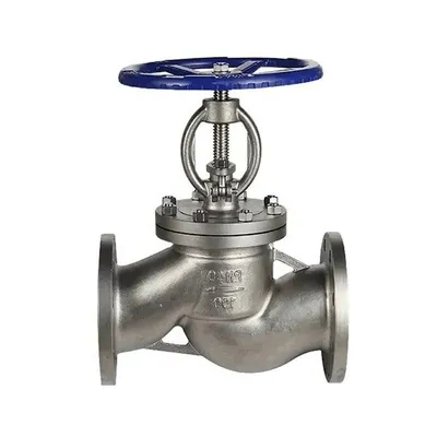 Manufacture Marine Check Valve Ss321 Flanged Check Valve for Sale