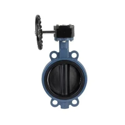 Marine Industrial Usage Soft Sealed DN 300mm Valve Lug Type Plate Butterfly Valve Best Price for Sale