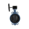 Marine Industrial Usage Soft Sealed DN 300mm Valve Lug Type Plate Butterfly Valve Best Price for Sale