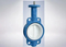 Flanged ANSI API CF8 Di Ci EPDM PTFE Strong Acid Ductile Iron Lever Opreated Wafer Lug Butterfly Valve