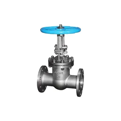 Hot Sale Manufacture Quality Stainless Steel Gate Globe Check Valve