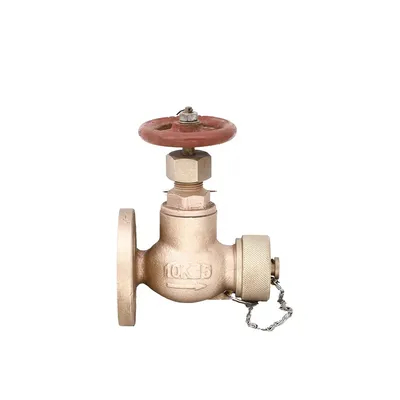 Marine Check Swing Lift JIS F7333/7334 Flanged Bronze Cast Iron 5K 10K Globe Angle Valves