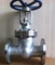 Marine Valve Cast Forged Stainless Steel Globe Valve