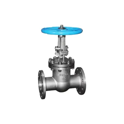 Manufacturers Direct Sale Flanged Stainless Steel Gate Globe Check Valve