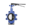 OEM Factory Wafer Type JIS 10K 150lb Pn16 Standard Dk Butterfly Valve for Sale