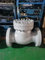 API 900lb High Pressure Stainless Steel Swing Check Valve for Sale