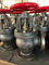 Globe Angle Check Valve JIS F7354 Cast Iron Marine Valve 5K with Price