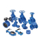 ANSI Class 125 Cast Iron Globe Valve for Sale