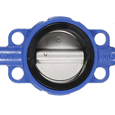 ANSI API CF8 Di Ci EPDM PTFE Strong Acid Ductile Iron Lever Opreated Wafer Lug Butterfly Valve