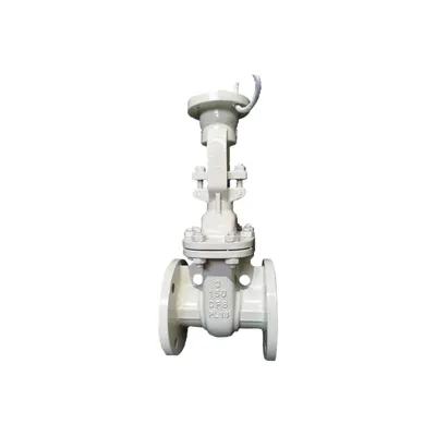 Marine Stainless Steel Gate Globe Flanged Check Valve for Sale