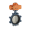 Cast-Iron Stainless-Steel Rubber Seat Water Lug Type Double Flange Butterfly Valve