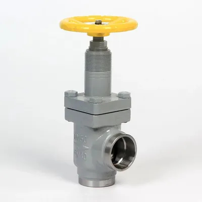 Marine DN20 -DN150 Cast Steel Angle Type Ammonia Globe Valve