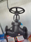 Factory Directly Supply Cast Steel Check Globe Valve for Sale