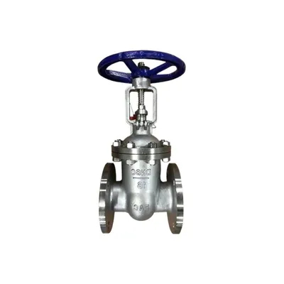 Marine Check Globe Valve Stainless Flanged Steel Gate Globe Check Valve