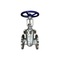 Marine Check Globe Valve Stainless Flanged Steel Gate Globe Check Valve