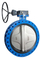Manufacturers Cast Iron Marine Wafer Type Butterfly Valve