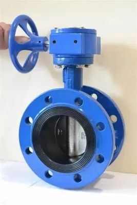 OEM Good Selling Cast Iron Marine Wafer Type Butterfly Valve