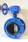 OEM Good Selling Cast Iron Marine Wafer Type Butterfly Valve
