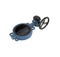 Marine Industrial Usage Soft Sealed DN 300mm Valve Lug Type Aluminum Bronze Plate Butterfly Valve for Sale
