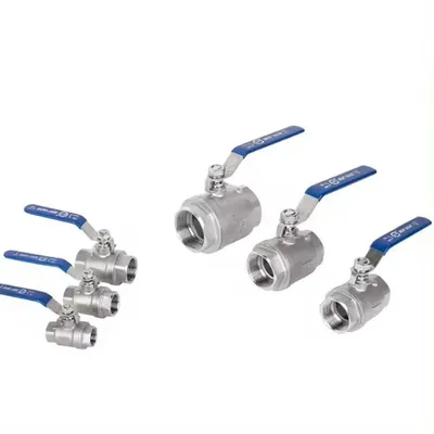 Marine Pneumatic Ss 304 316 Ball Valve Stainless Steel Manual Control Ball Valve
