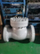 API 900lb High Pressure Stainless Steel Swing Check Valve