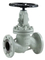 Customized ANSI Stainless Steel Carbon Steel Flange Globe Valve