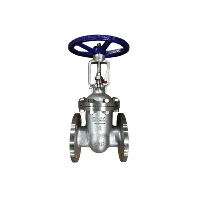 Marine Check Globe Valve Stainless Steel Gate Globe Check Valve