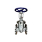 Marine Check Globe Valve Stainless Steel Gate Globe Check Valve